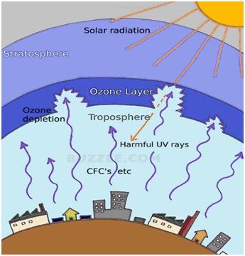 Ozone-Layer-Depletion